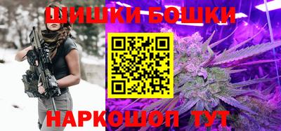PSILOCYBIN Гатчина