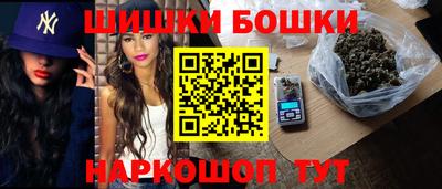 PSILOCYBIN Гатчина