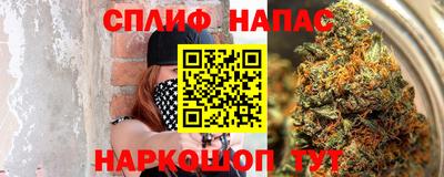 PSILOCYBIN Гатчина